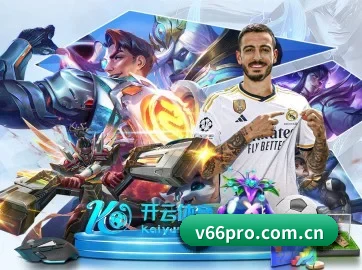 V66体育 APP